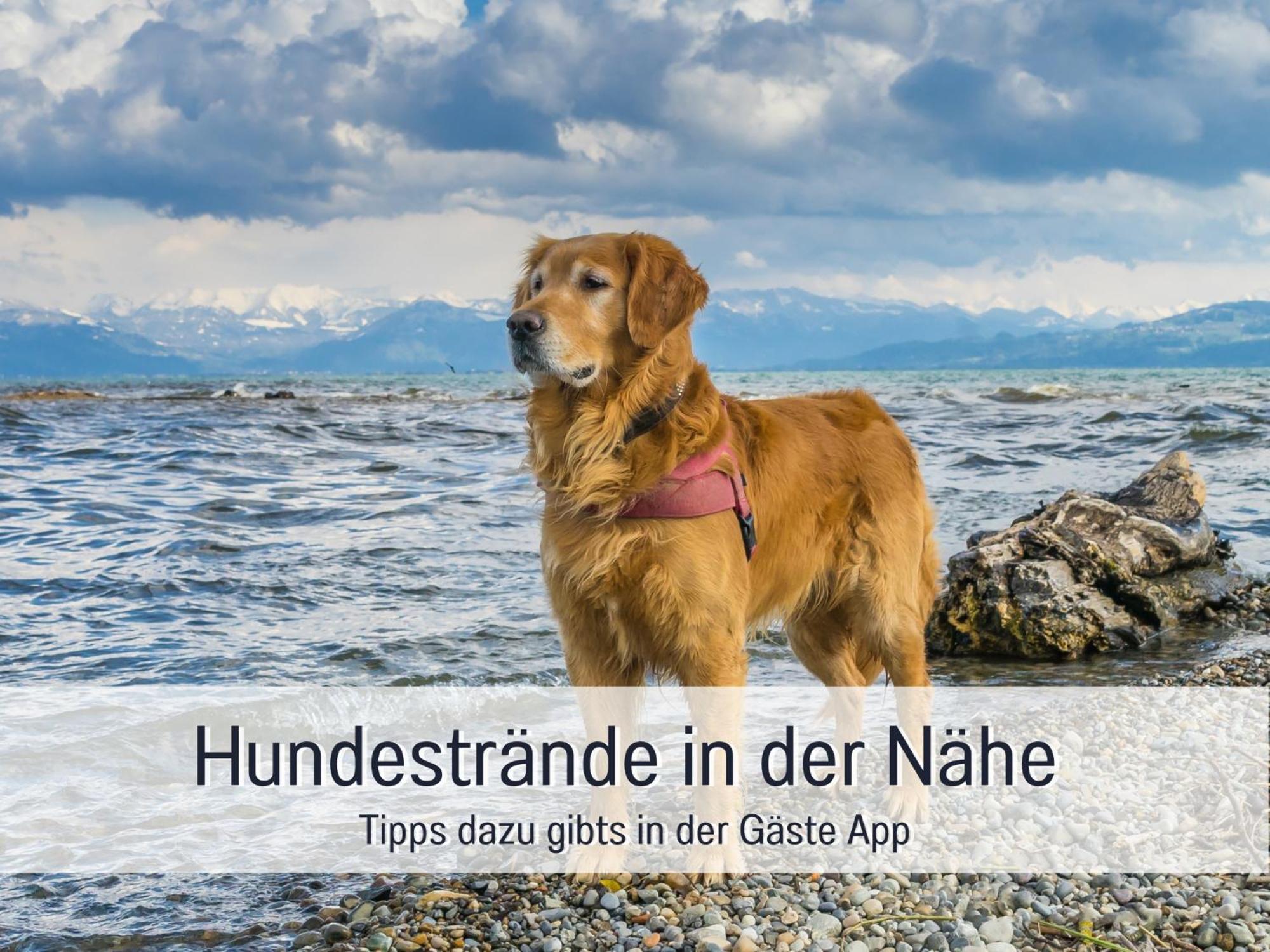 Sonnenterrasse - 3 Schlafzimmer, Whirlpool & Alpenblick - Perfekt Fuer Romantik Oder Familienurlaub Mit Kind , Hund Willkommen By Ferienwohnenamsee - 于伯林根 外观 照片