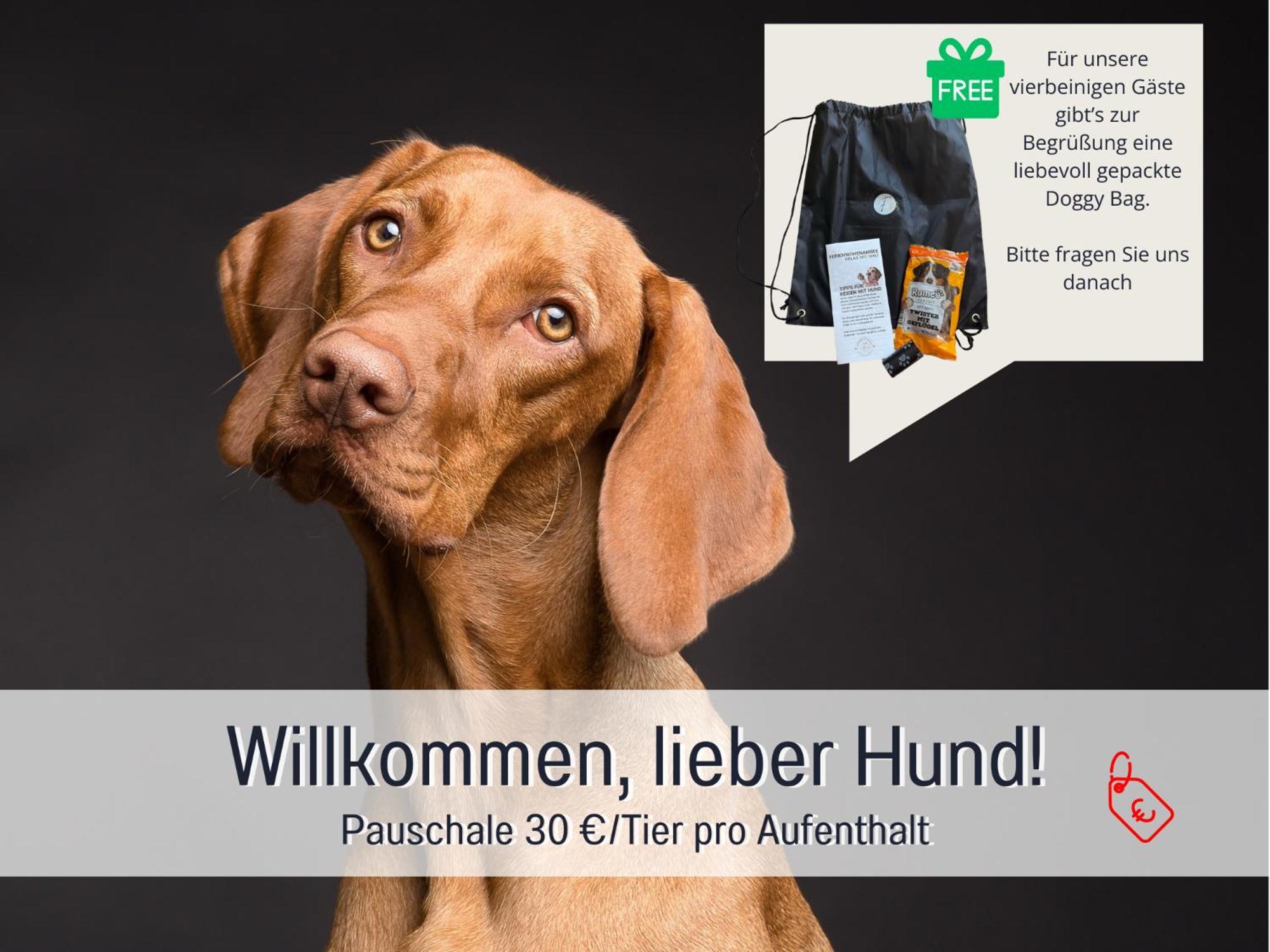 Sonnenterrasse - 3 Schlafzimmer, Whirlpool & Alpenblick - Perfekt Fuer Romantik Oder Familienurlaub Mit Kind , Hund Willkommen By Ferienwohnenamsee - 于伯林根 外观 照片